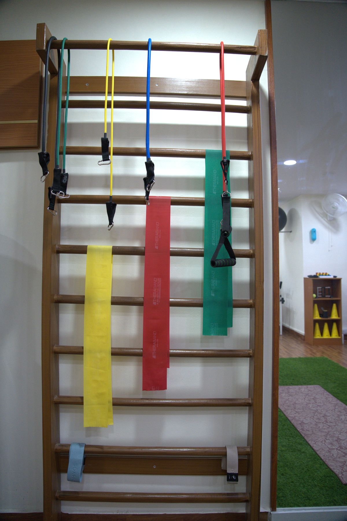 Wall ladder rehabilitation equipment